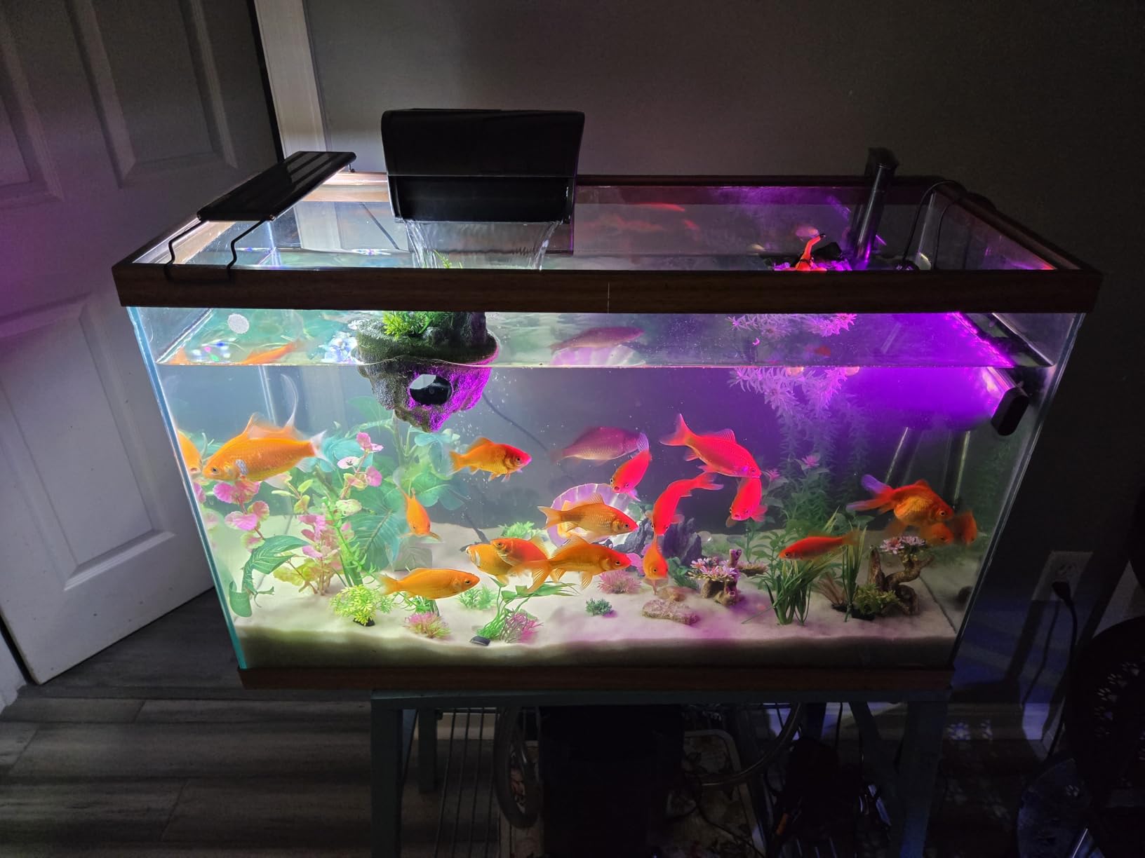 Aqueon QuietFlow Canister Aquarium Filter, 55-100 Gallons (ECOM) customer photo 1