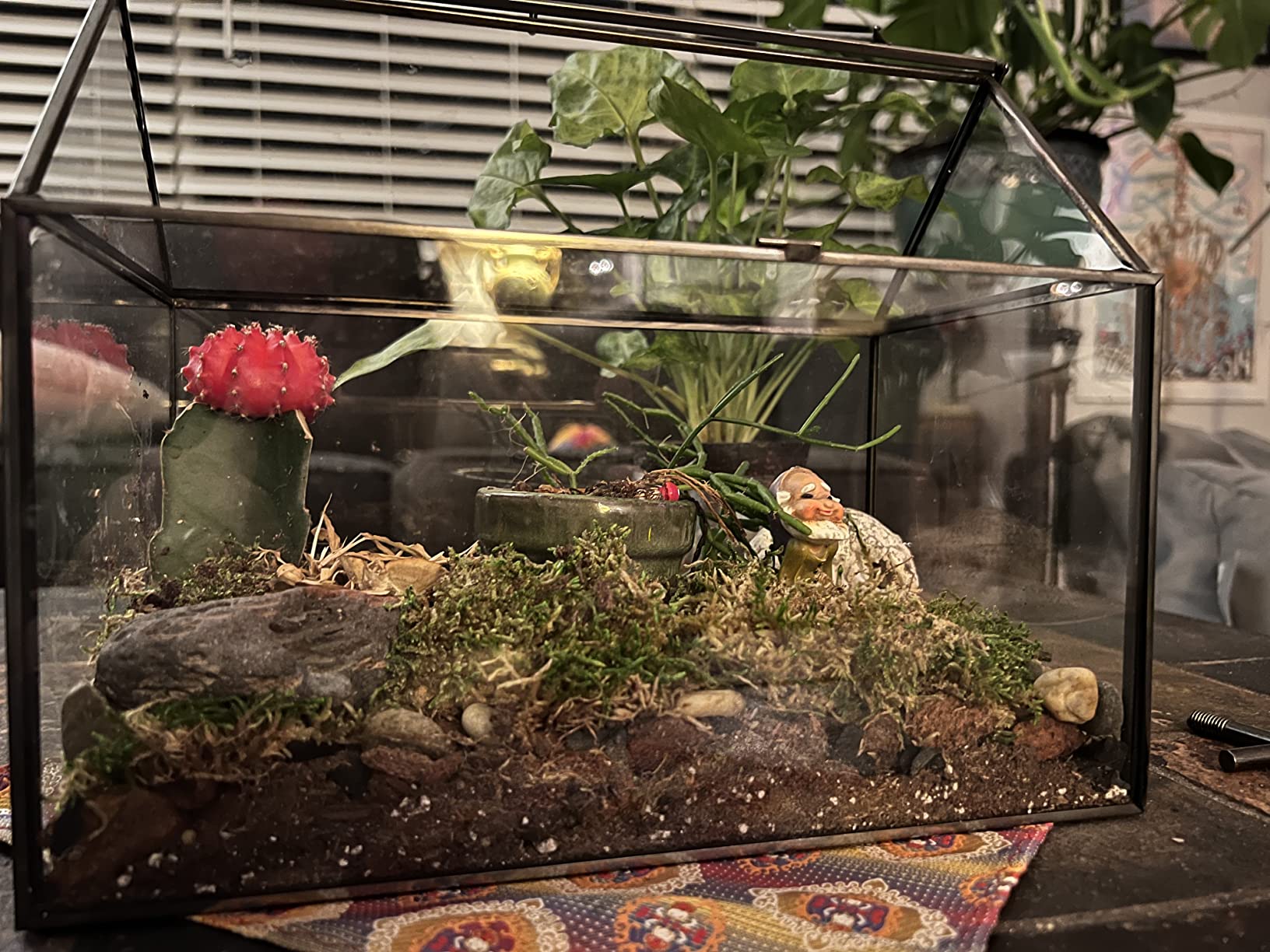 DIY Terrarium Kit for Succulents & Air Plants, Terrarium Starter Kit with Organic Soil, Orchid Bark, Horticultural Charcoal, River Rocks & Preserved Moss for Fairy Gardens & Mini Terrariums (Large) customer photo 2