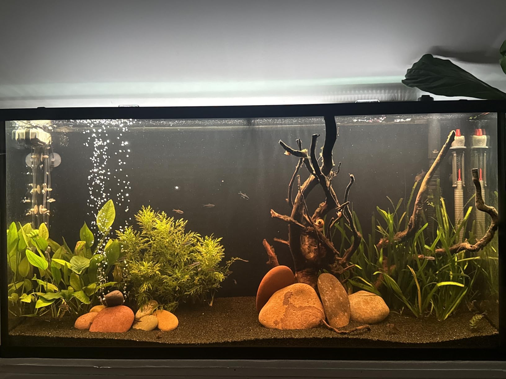 NICREW ClassicLED Plus LED Aquarium Light, 21W, for 30 to 36 Inch Fish Tank customer photo 1