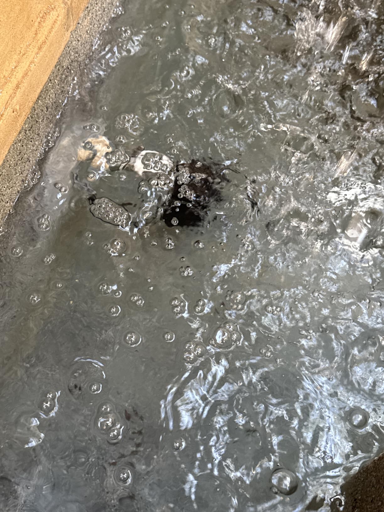 CWKJ 400GPH Submersible Fountain Water Pump for Pond Aquarium Hydroponics customer photo 2
