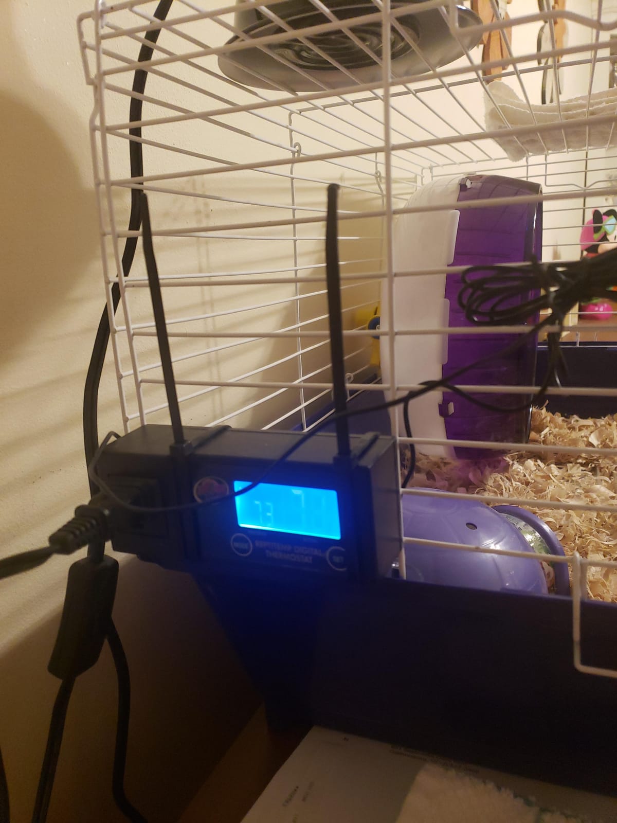 Zoo Med ReptiTemp Digital Thermostat customer photo 2