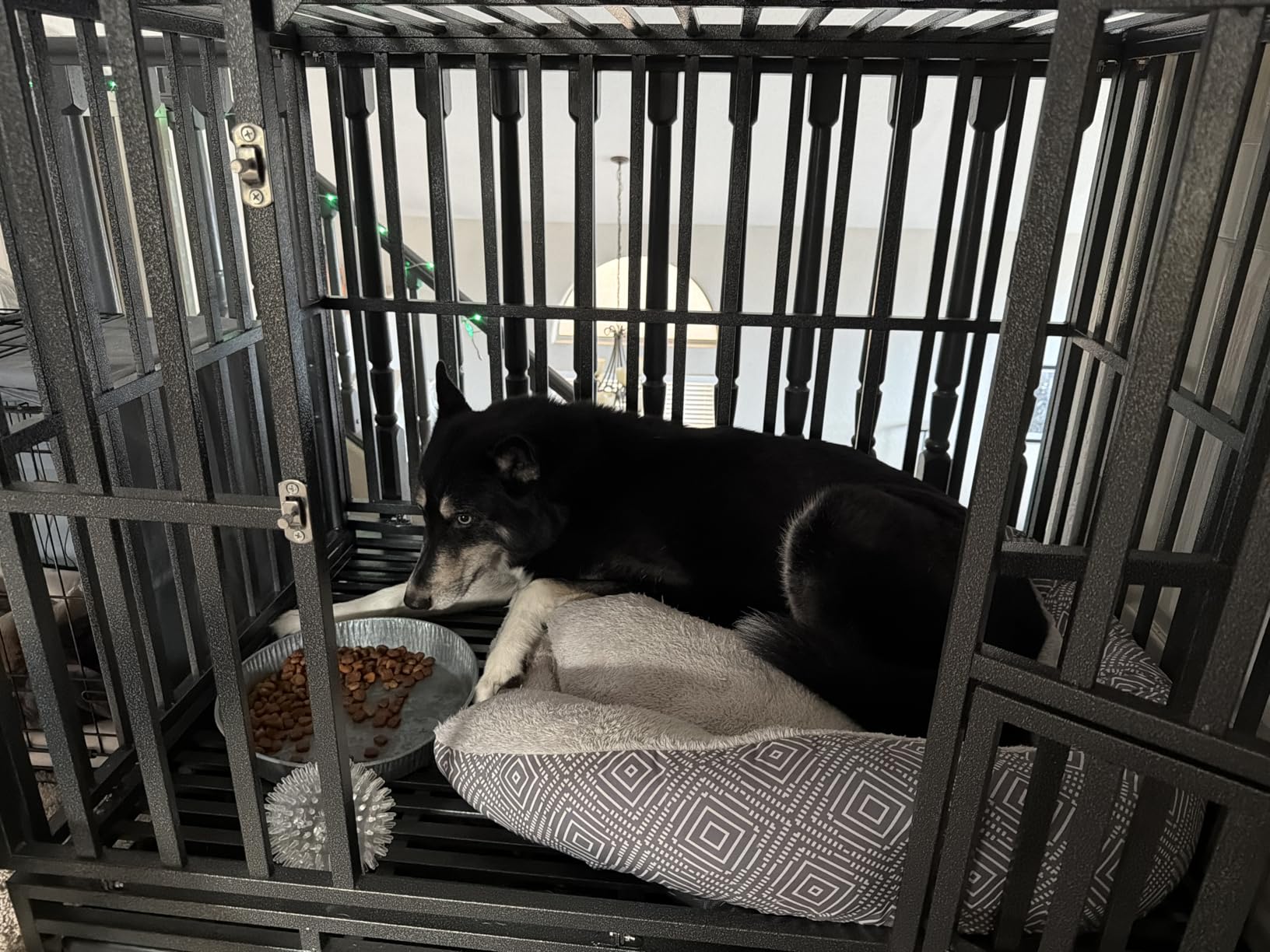 LUCKUP 38 Inch Heavy Duty Dog Cage Metal Kennel and Crate for Large Dogs,Easy to Assemble Pet Playpen with Four Wheels,Black … … customer photo 2