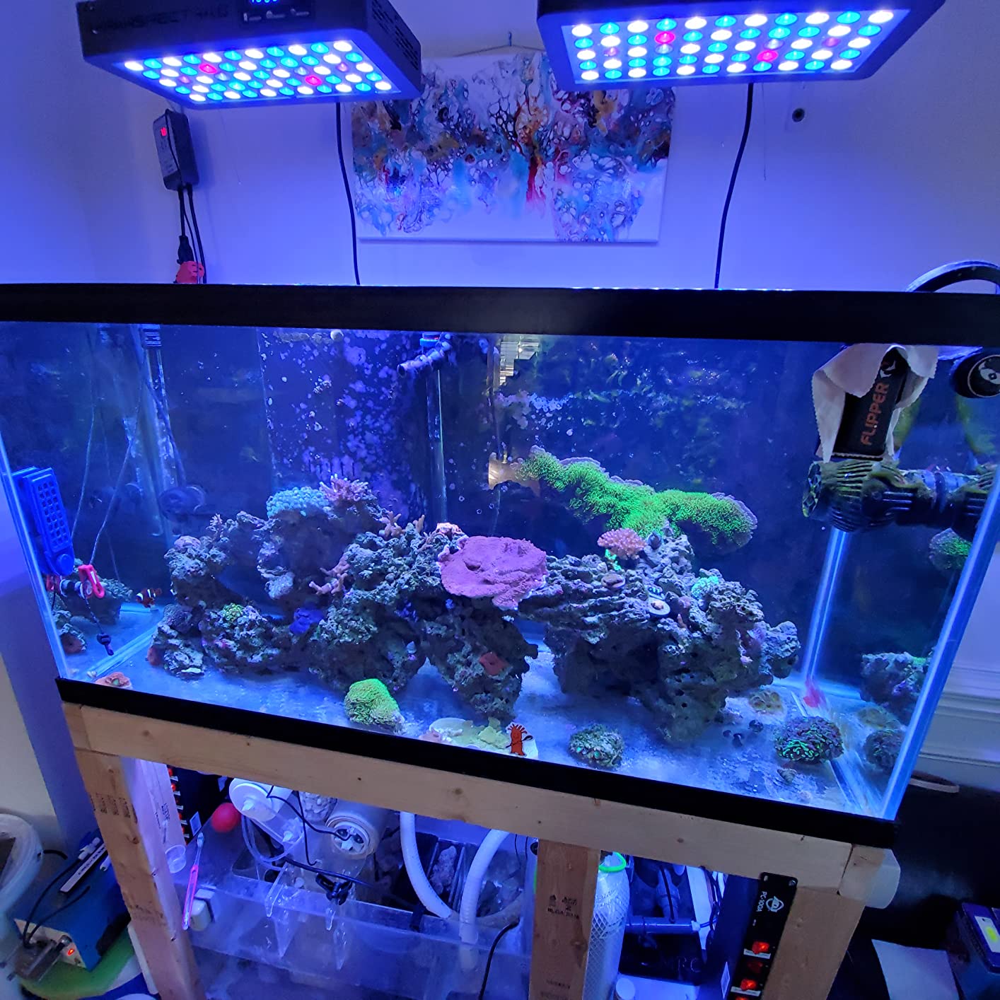 Jebao SOW-8 Wave Maker Flow Pump with Controller for Marine Reef Aquarium customer photo 1
