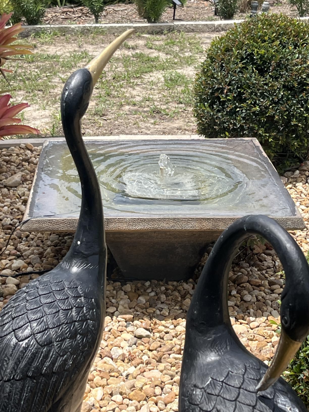 VIVOSUN 800GPH Submersible Fountain Water Pump for Pond, Aquarium, Statuary customer photo 2