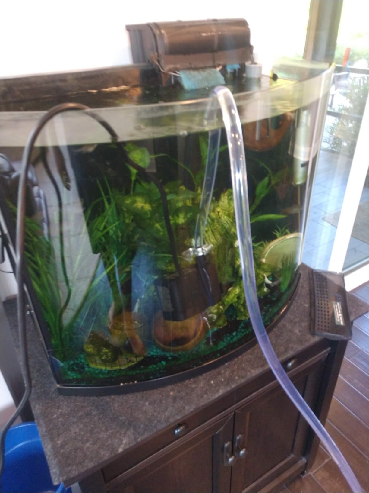 GROWNEER 550GPH Submersible Pump 30W Fountain Water Pump, 2000L/H, with 7.2ft High Lift, 3 Nozzles for Aquarium, Fish Tank, Pond, Hydroponics, Statuary, Pool customer photo 2