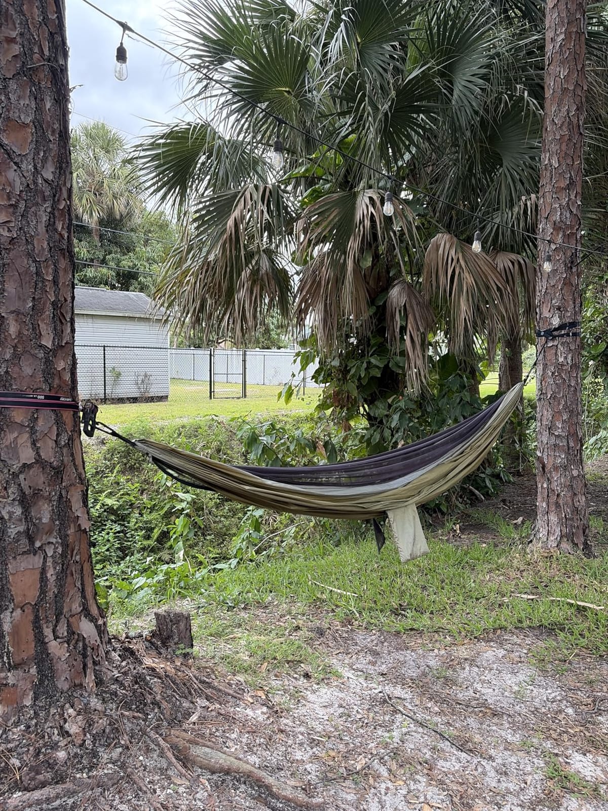 Covacure Camping Hammock, 772 lbs Capacity Double Hammock - Black | Lightweight Hammocks with Tree Straps & Carry Bag, Durable Parachute Nylon, Portable for Hiking, Backyard, Travel, Beach customer photo 2