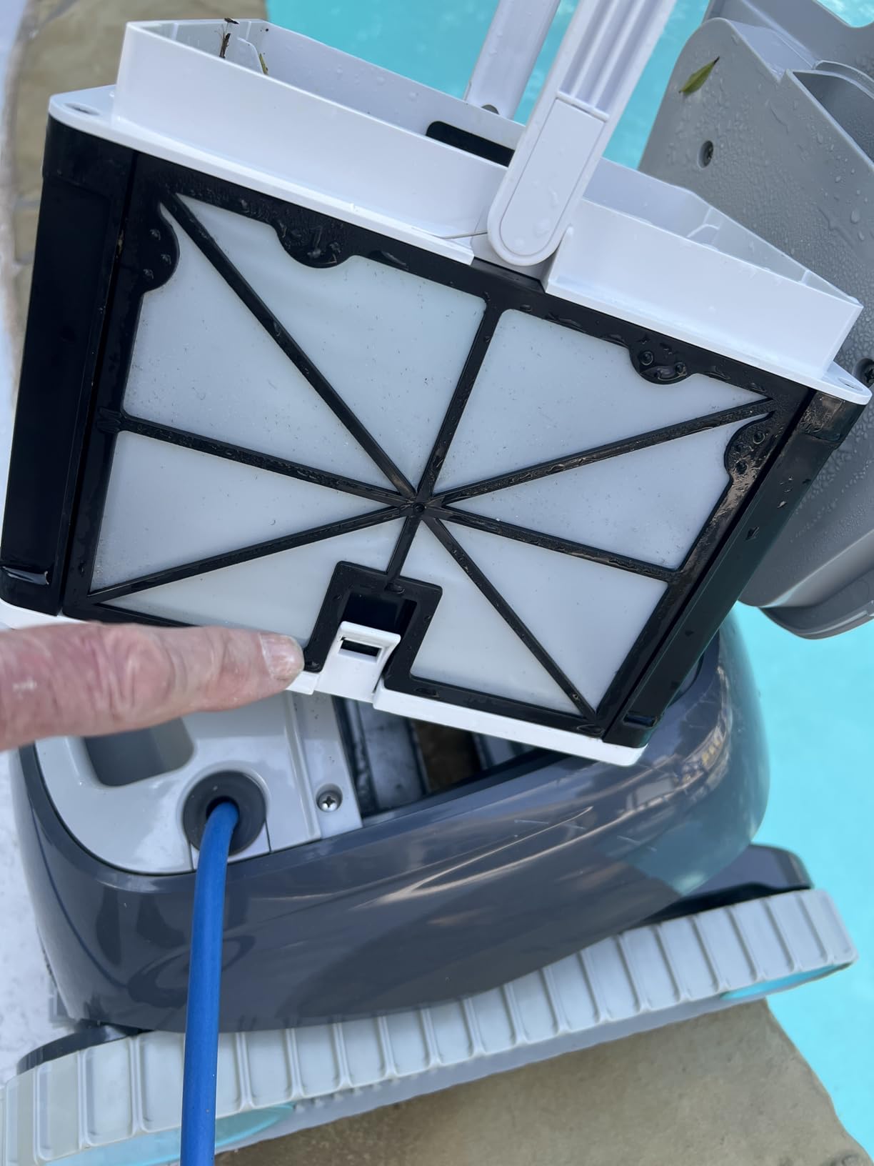 Dolphin Advantage Automatic Robotic Pool Vacuum Cleaner, Wall Climbing, Active Scrubber Brush, Ideal for In-Ground Pool Types up to 33 FT in Length customer photo 2