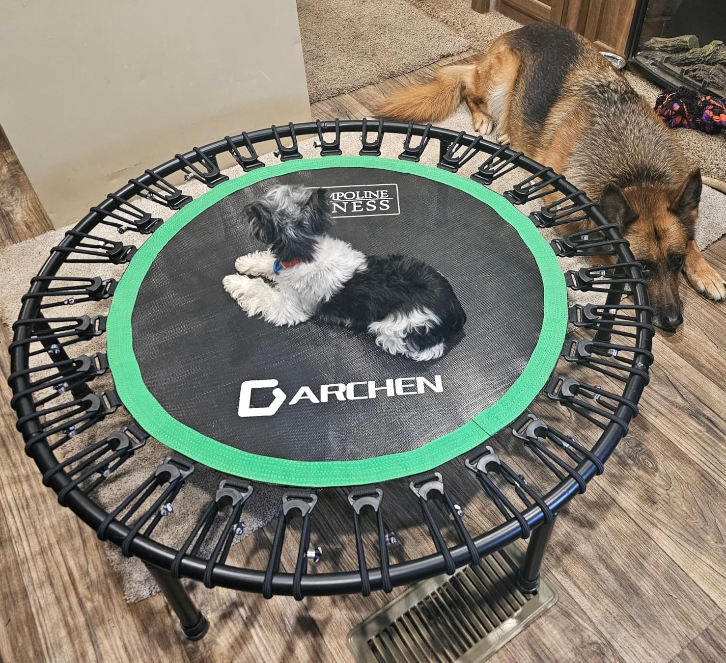 DARCHEN 450 lbs Mini Trampoline for Adults, Indoor Small Rebounder Exercise Trampoline for Workout Fitness for Quiet and Safely Cushioned Bounce, [40 Inch] customer photo 2