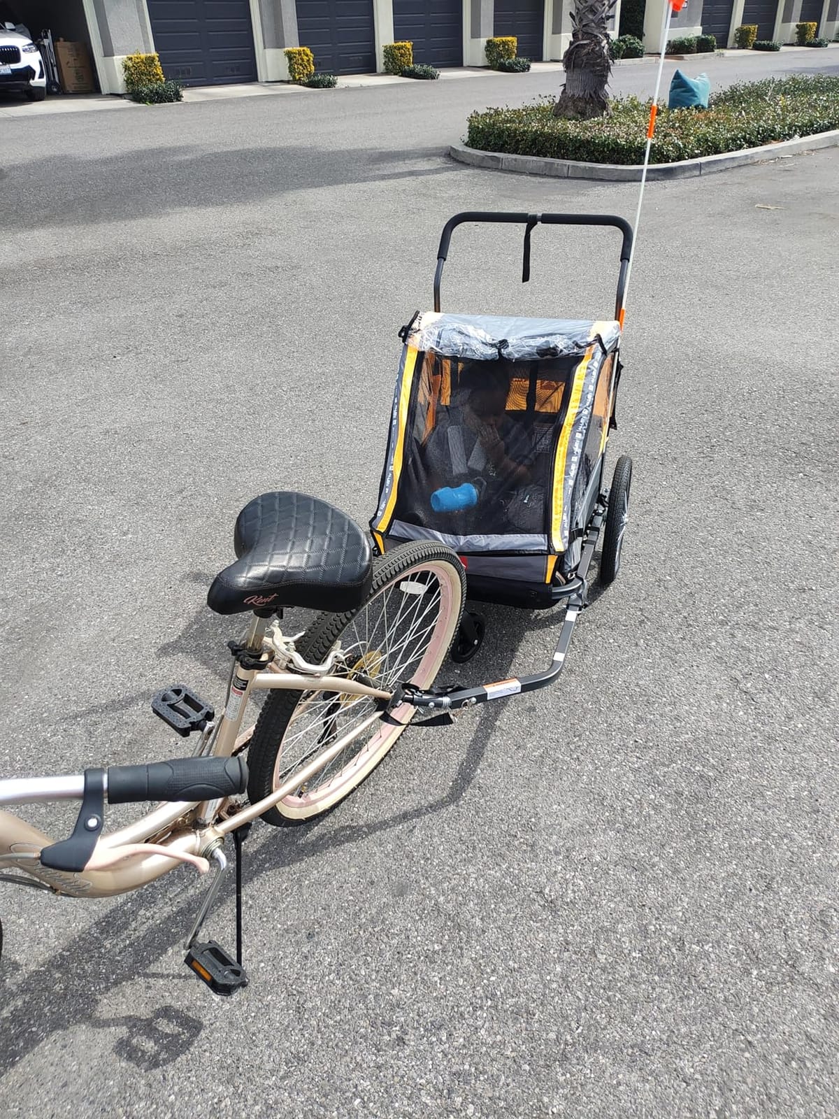 Allen Sports Deluxe Bike Trailer & Stroller customer photo 2