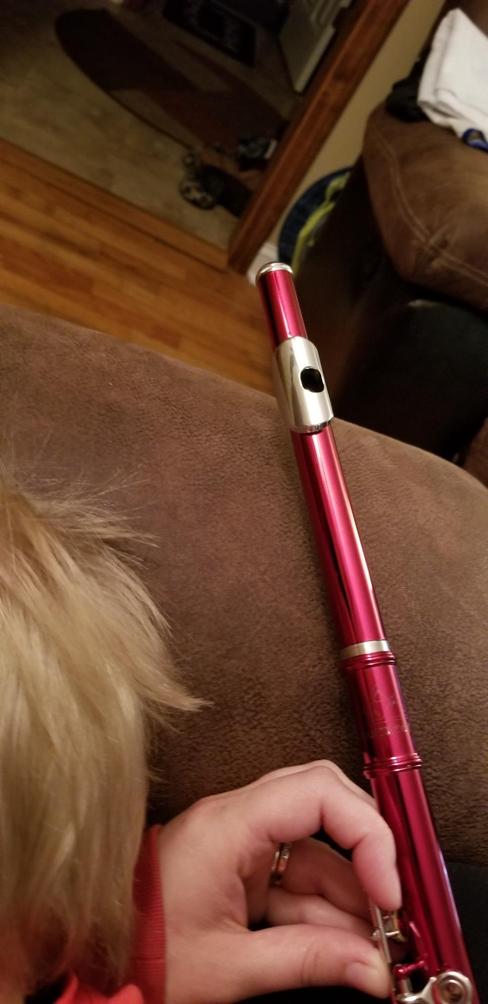EastRock Closed Hole Flutes C 16 Key for Beginner, Kids, Student Silver Nickel Flute with Case Stand and Cleaning kit customer photo 1