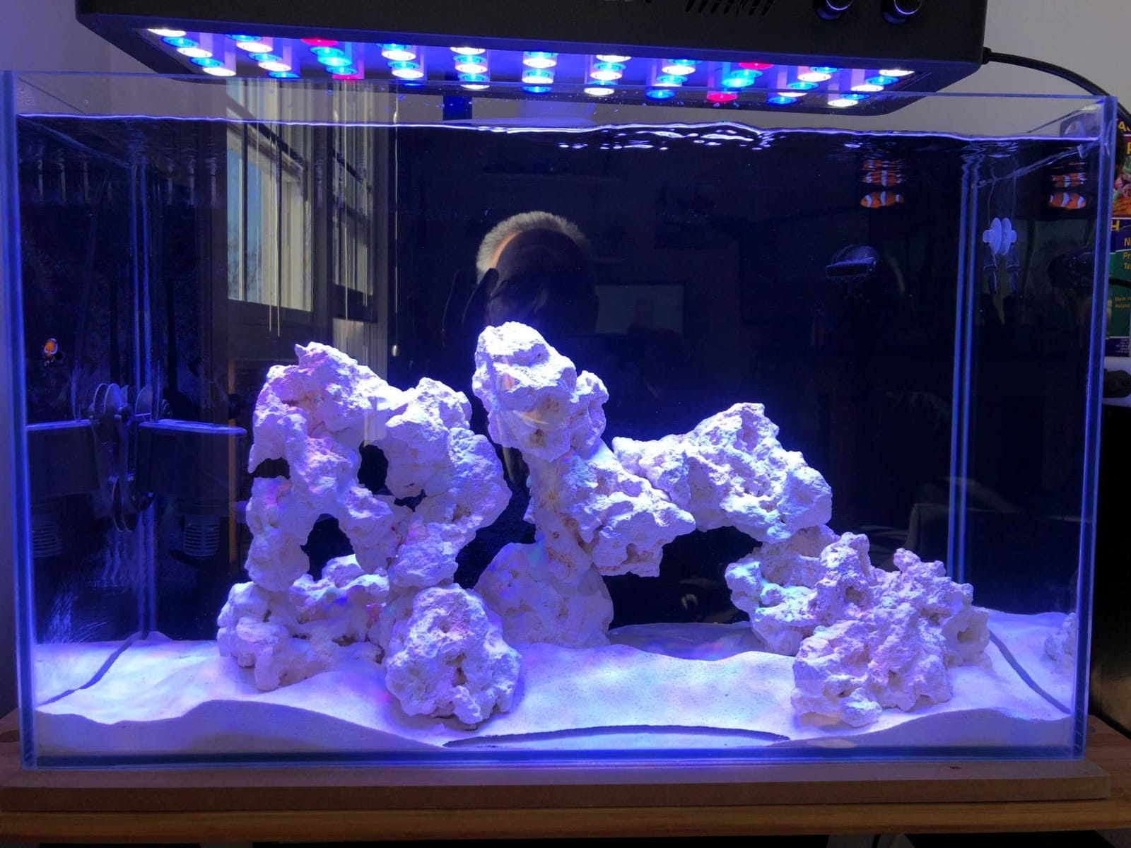 Empire USA - 24 Gallon All-in-One Aquarium Kit, Rimless Low Iron Glass AIO Saltwater & Freshwater Fish Tank, Complete Nano Reef Tank Setup for Home or Office customer photo 1