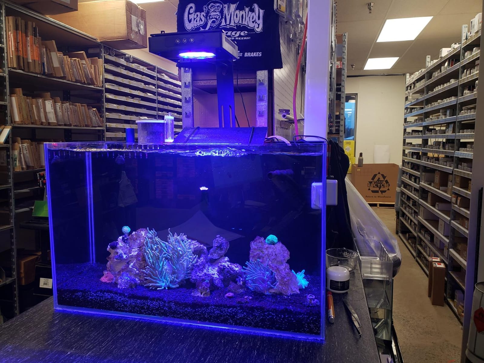 Empire USA - 24 Gallon All-in-One Aquarium Kit, Rimless Low Iron Glass AIO Saltwater & Freshwater Fish Tank, Complete Nano Reef Tank Setup for Home or Office customer photo 2