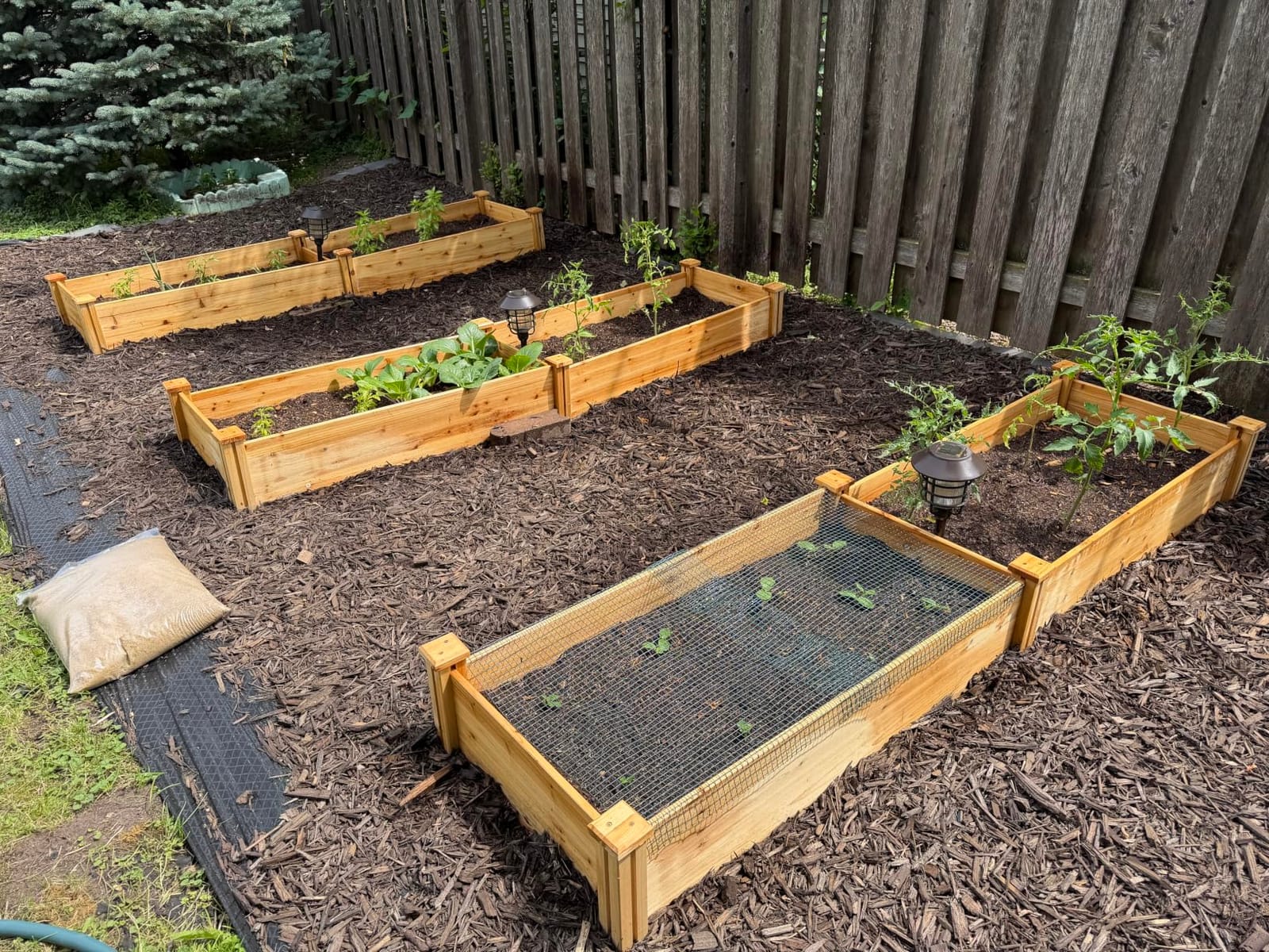 Yaheetech Raised Garden Bed Wooden Planter Box for Vegetables/Flowers, Wood customer photo 2