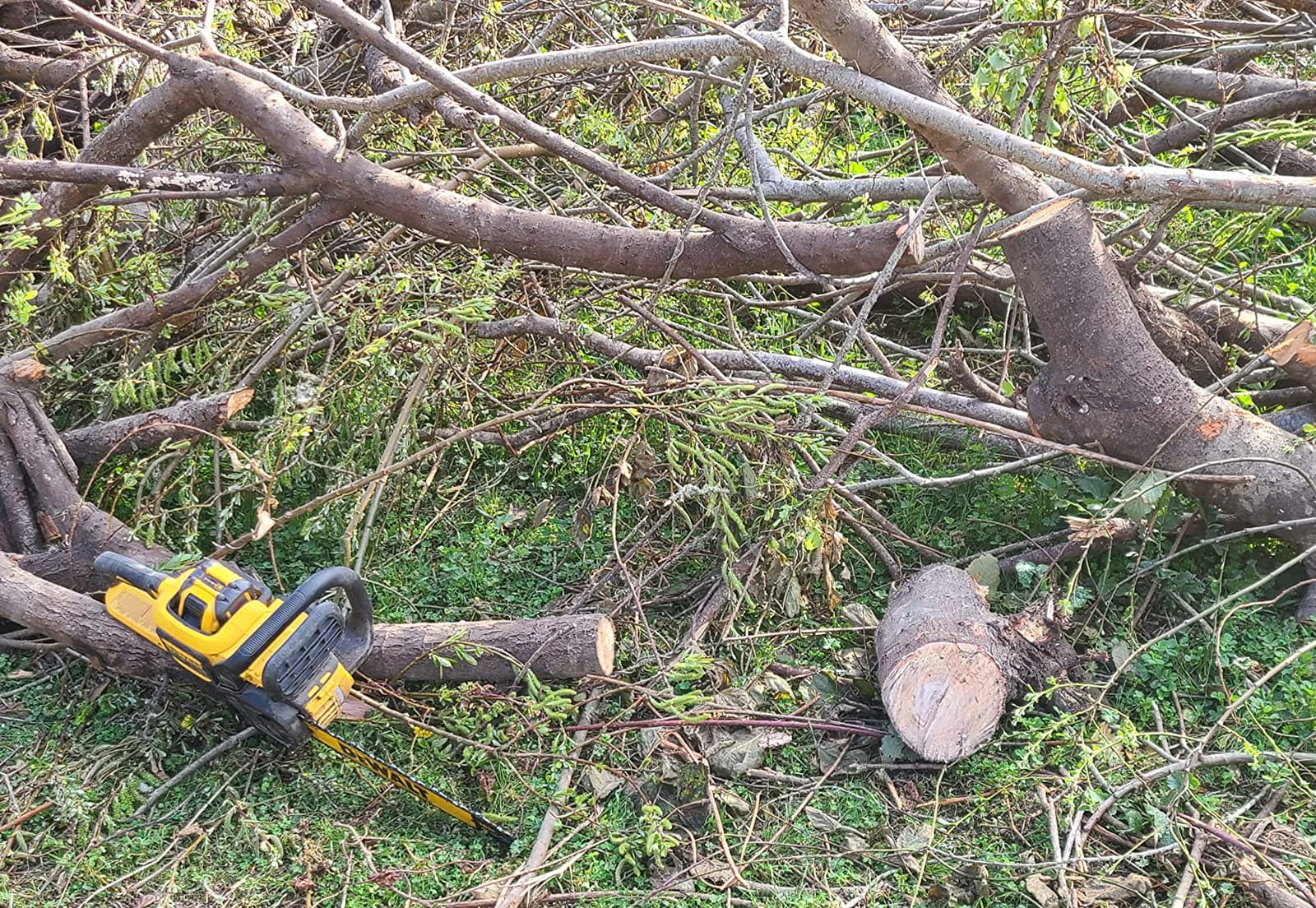 DEWALT FLEXVOLT CHAINSAW 60V 2Ah 16IN customer photo 1