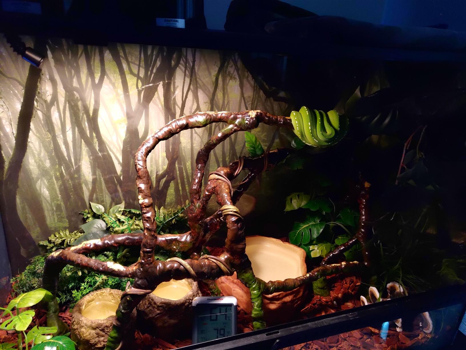 REPTI ZOO 4L Reptile Fogger Mister Tank, Terrariums Digital Tank Timing Humidifier Smart Touch Screen Adjustable Fogger for Reptiles Amphibians Herps customer photo 1