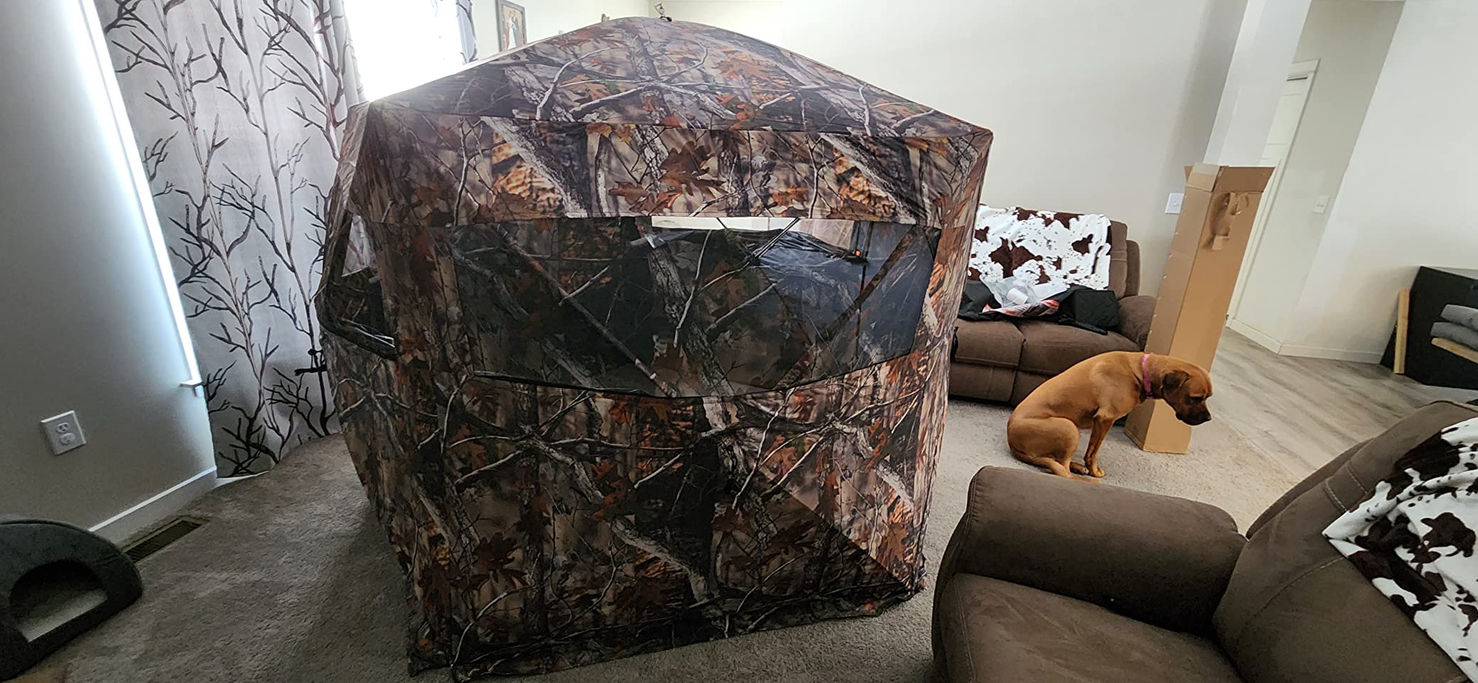 THUNDERBAY Gobbler Lodge 5-Side Hunting Blind, 4 Person Ground Blind for Deer Hunting, 300D Oxford Fabric Deer Ground Blind for Deer Hunting customer photo 1
