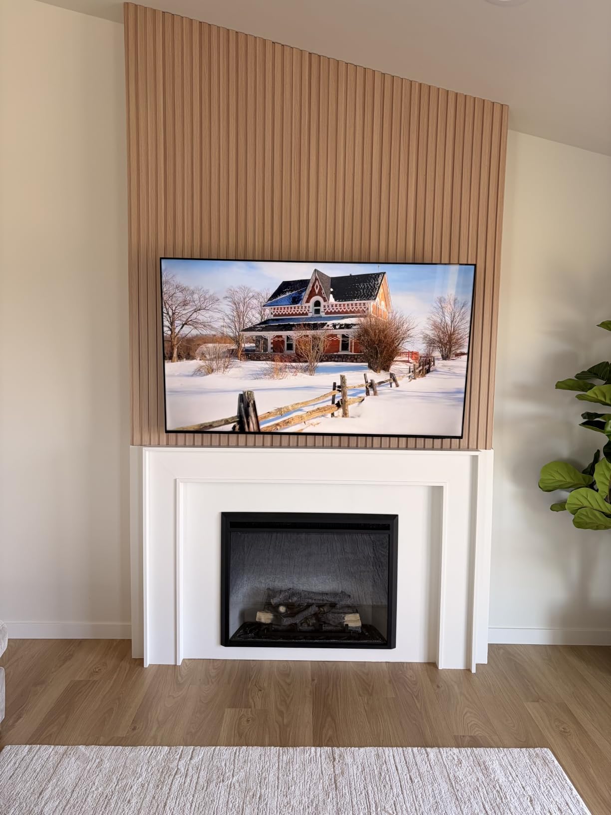 RICHFLAME Gavin 23 Inches Electric Fireplace Insert customer photo 1