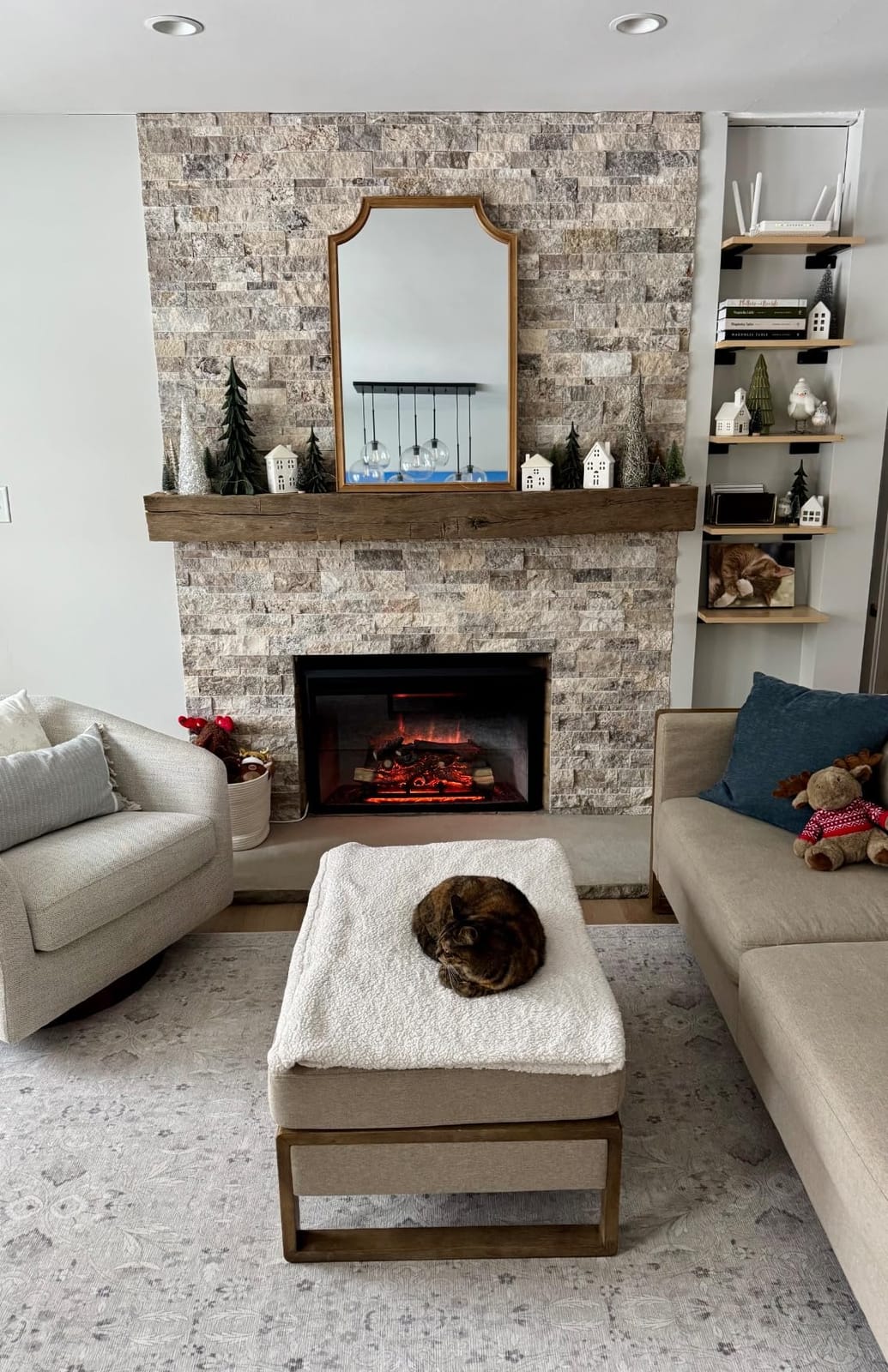 RICHFLAME Gavin 23 Inches Electric Fireplace Insert customer photo 2