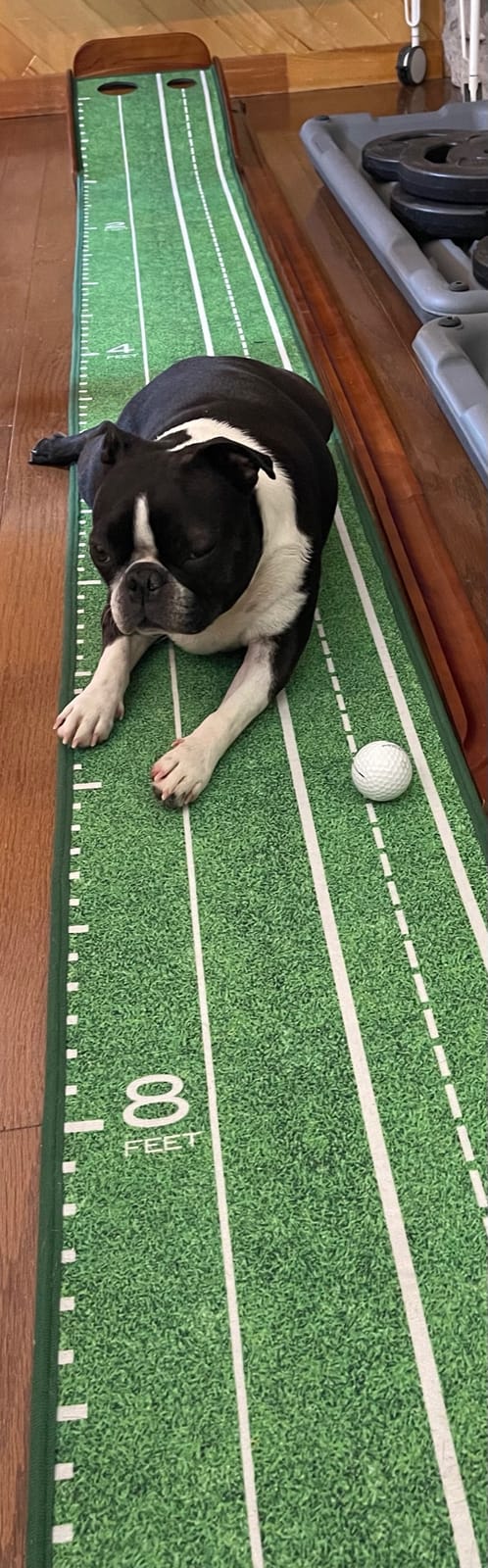 Perfect Practice Standard 9' Putting Mat - Indoor Putting Green customer photo 2