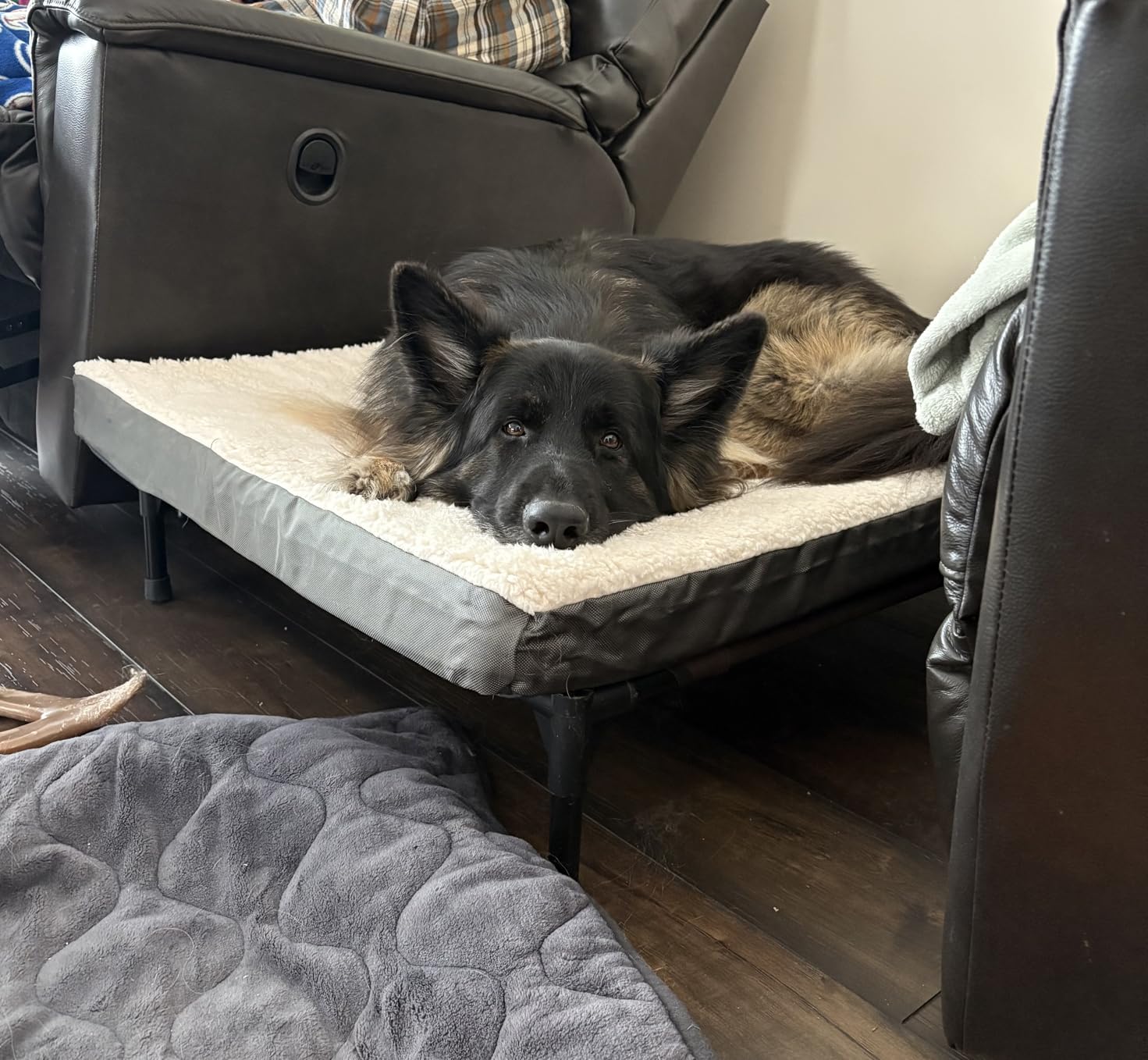 Bedsure XL Dog Bed, Extra Large Pet Bed with Comfy Sherpa, 44x32in Grey | Orthopedic Egg Crate Foam, Comfort Support Flat Rectangle Pet Mat, Non-Slip Bottom, Removable Cover, For Extra Pet Up to 80 lbs customer photo 1