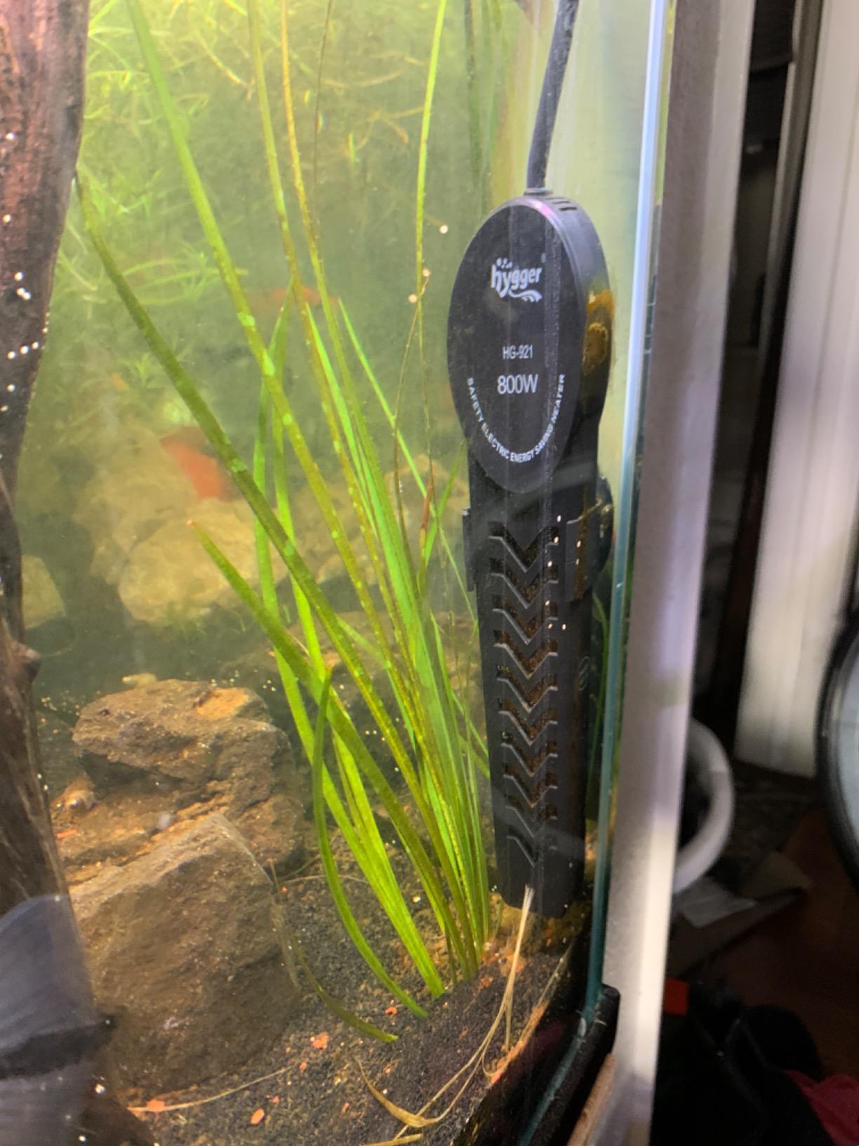 hygger 800W Aquarium Heater, Submersible Fish Tank Water Heater with External Color LED Digital Temperature Controller, Fast Heating for 120-180 Gallon customer photo 2