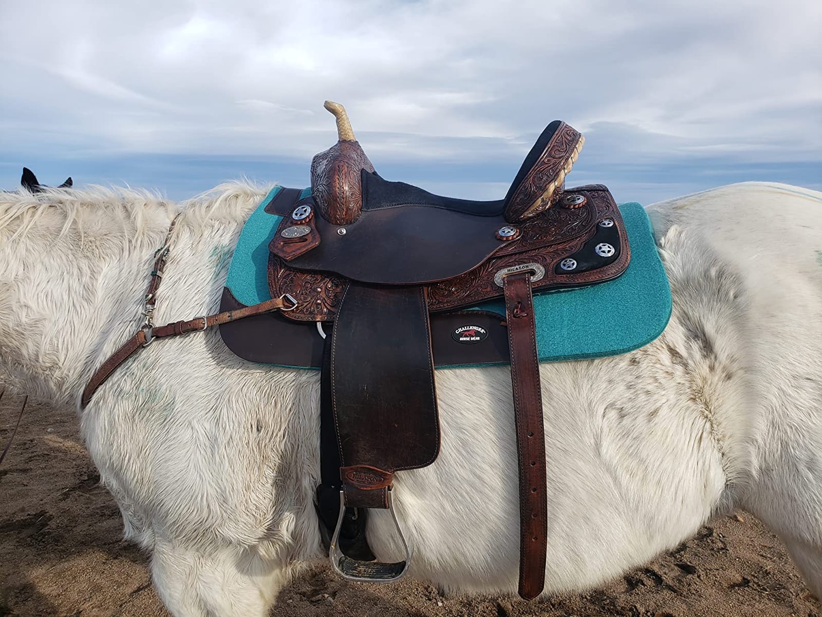HILASON Hand-Tooled Treeless Western Saddle, Antique Dark Brown customer photo 1