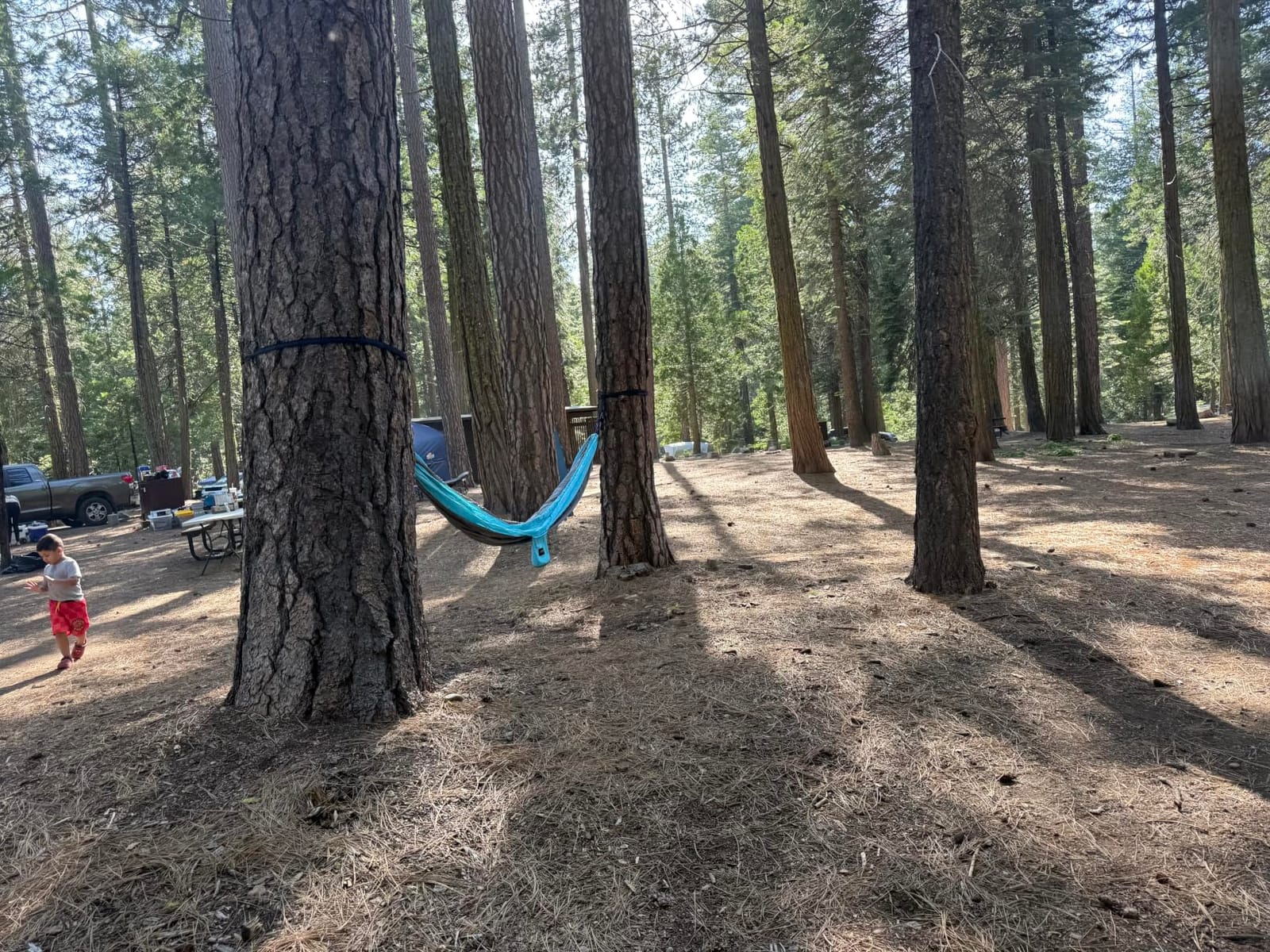 Kootek Camping Hammock 500lbs Capacity Outdoor Camping Essentials, Double | Outside&Indoors, Tree-Friendly Straps, Attached Carry Bag, 210T Parachute Nylon, D-Shaped Carabiners, Lightweight, Hand Wash customer photo 2