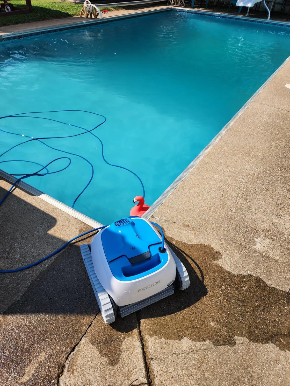Dolphin Proteus DX3 Automatic Robotic Pool Vacuum Cleaner, Wall Climbing, Active Scrubber Brush, Ideal for In-ground Pools up to 33 FT in Length customer photo 1