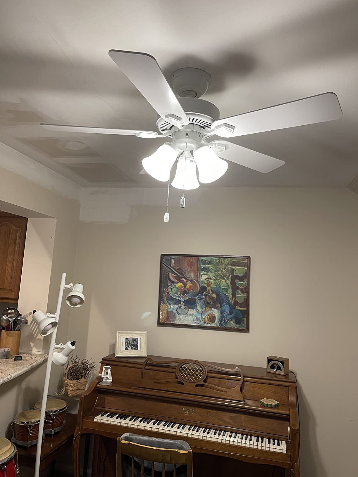 Hunter Swanson, Indoor, Ceiling Fan, with LED Lights, 52 inch, Fresh White customer photo 1