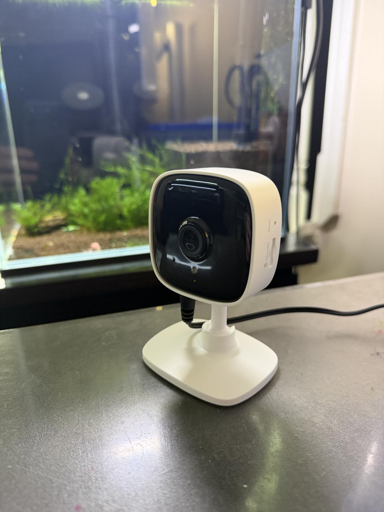 TP-Link Tapo 1080P Indoor Security Camera for Baby Monitor, Dog Camera w/Motion Detection, 2-Way Audio Siren, Night Vision, Cloud & SD Card Storage, Works w/Alexa & Google Home (Tapo C100) customer photo 1