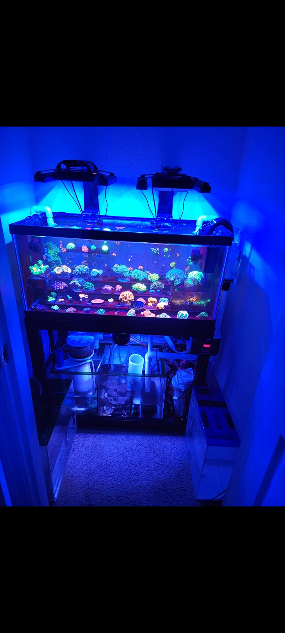 Jebao SLW-30 Aquarium Wavemaker, 3,434 GPH customer photo 1