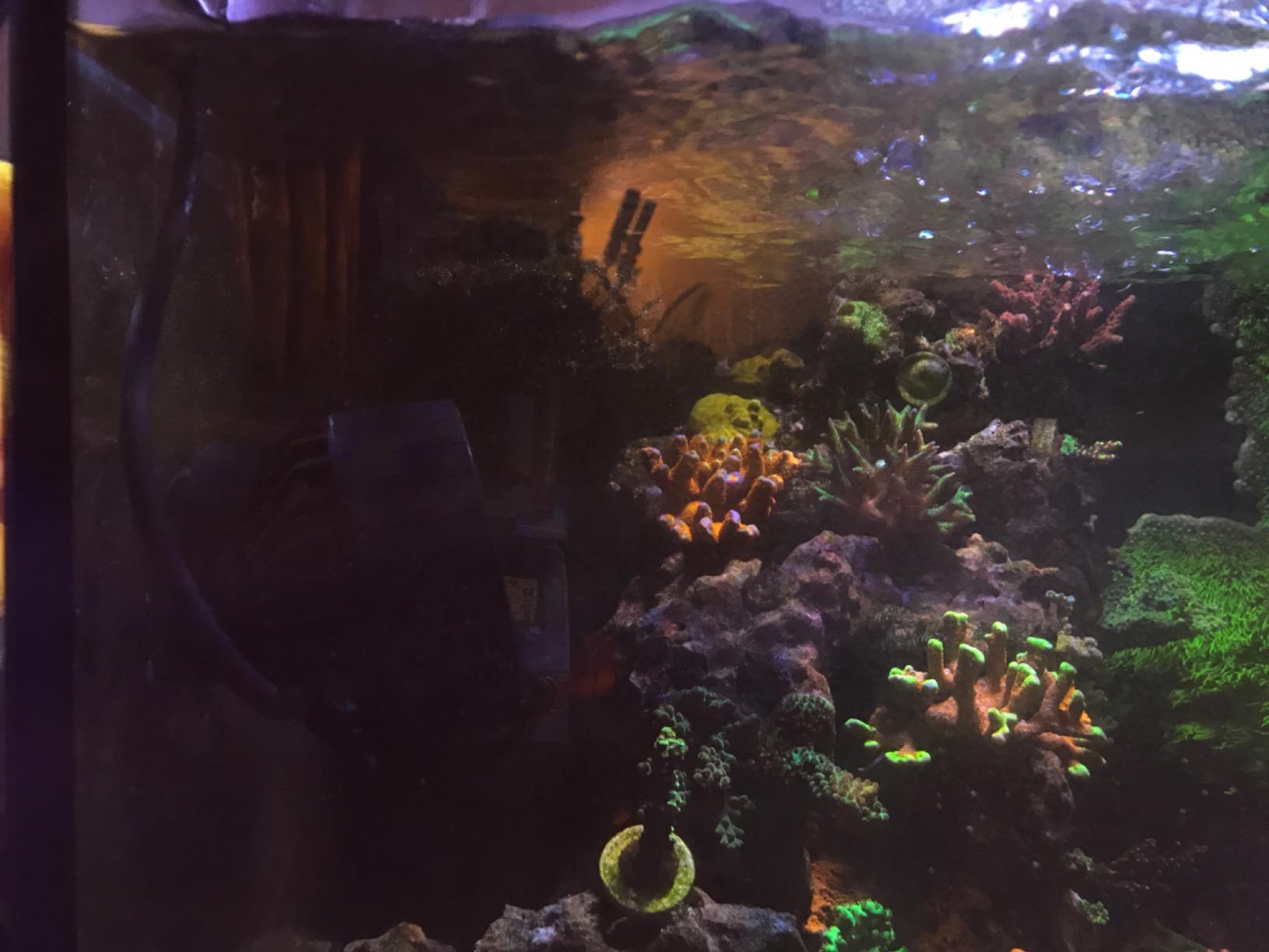 Jebao SLW-30 Aquarium Wavemaker, 3,434 GPH customer photo 2