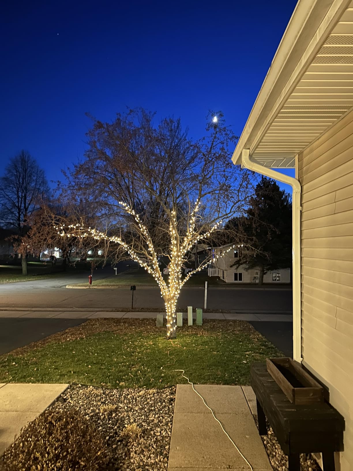 Extendable Christmas String Lights Indoor Outdoor 75.8FT 200 LED Warm White customer photo 1