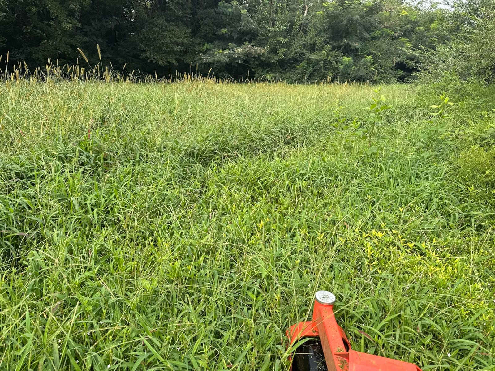 Ariens Zenith 60 (60 inch) 23.5HP Kawasaki Zero Turn Lawn Mower customer photo 1