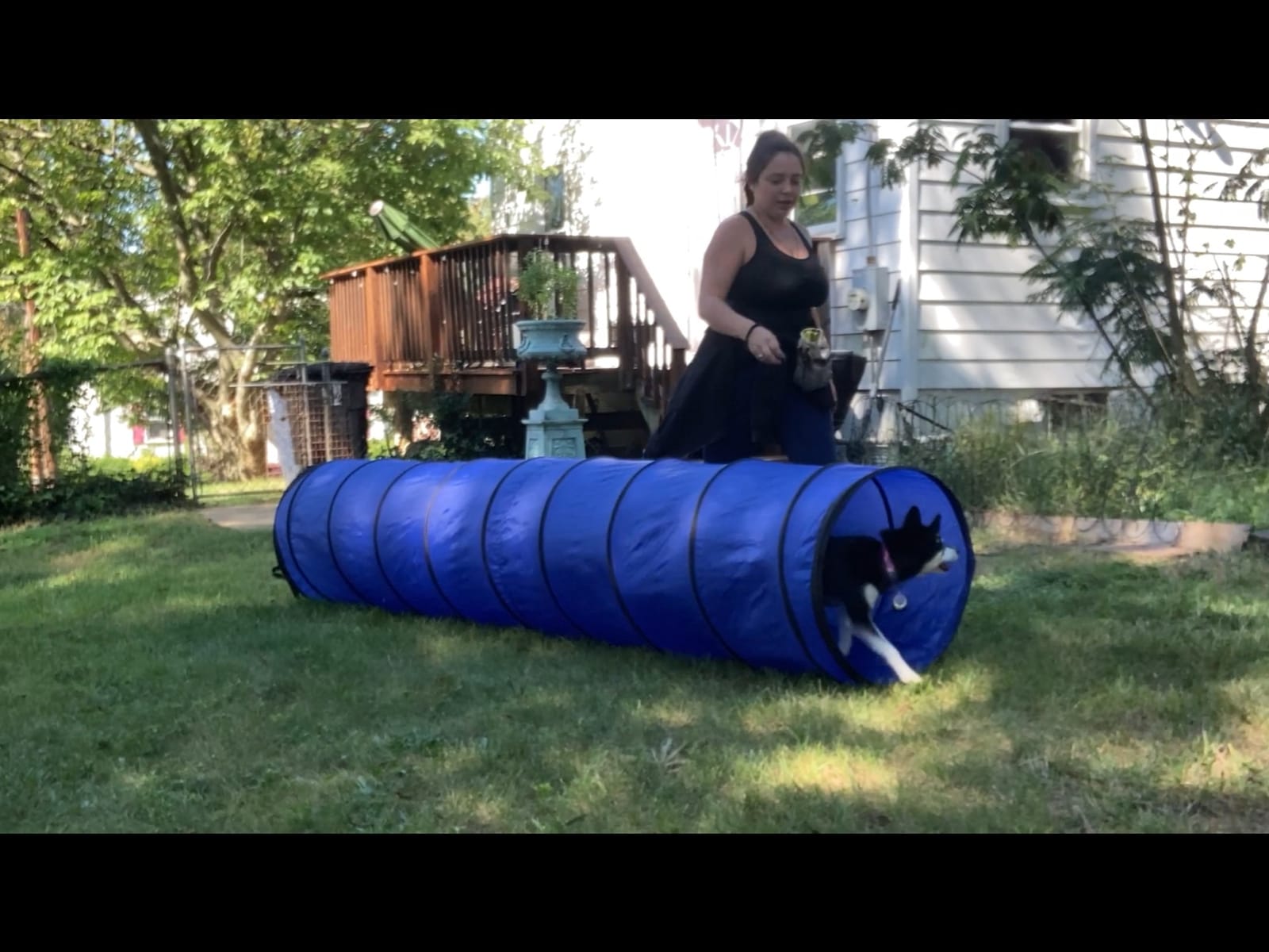 Better Sporting Dogs Agility Course Backyard Set - 7pc customer photo 1