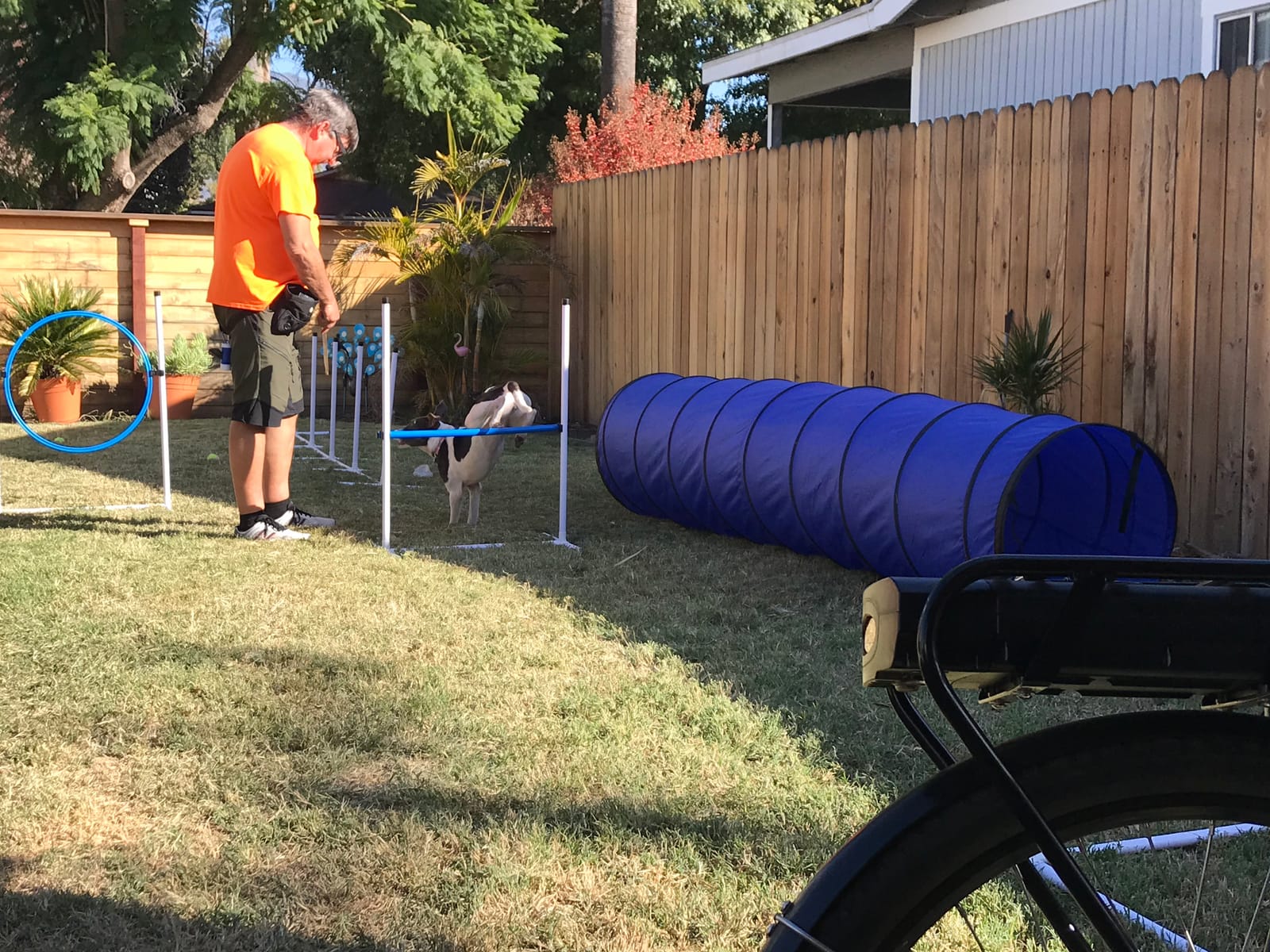 Better Sporting Dogs Complete Starter Agility Set for Dogs, 5 Piece customer photo 1