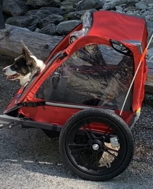 Allen Sports Hi-Viz 2-Child Bicycle Trailer, Model ET2 customer photo 1