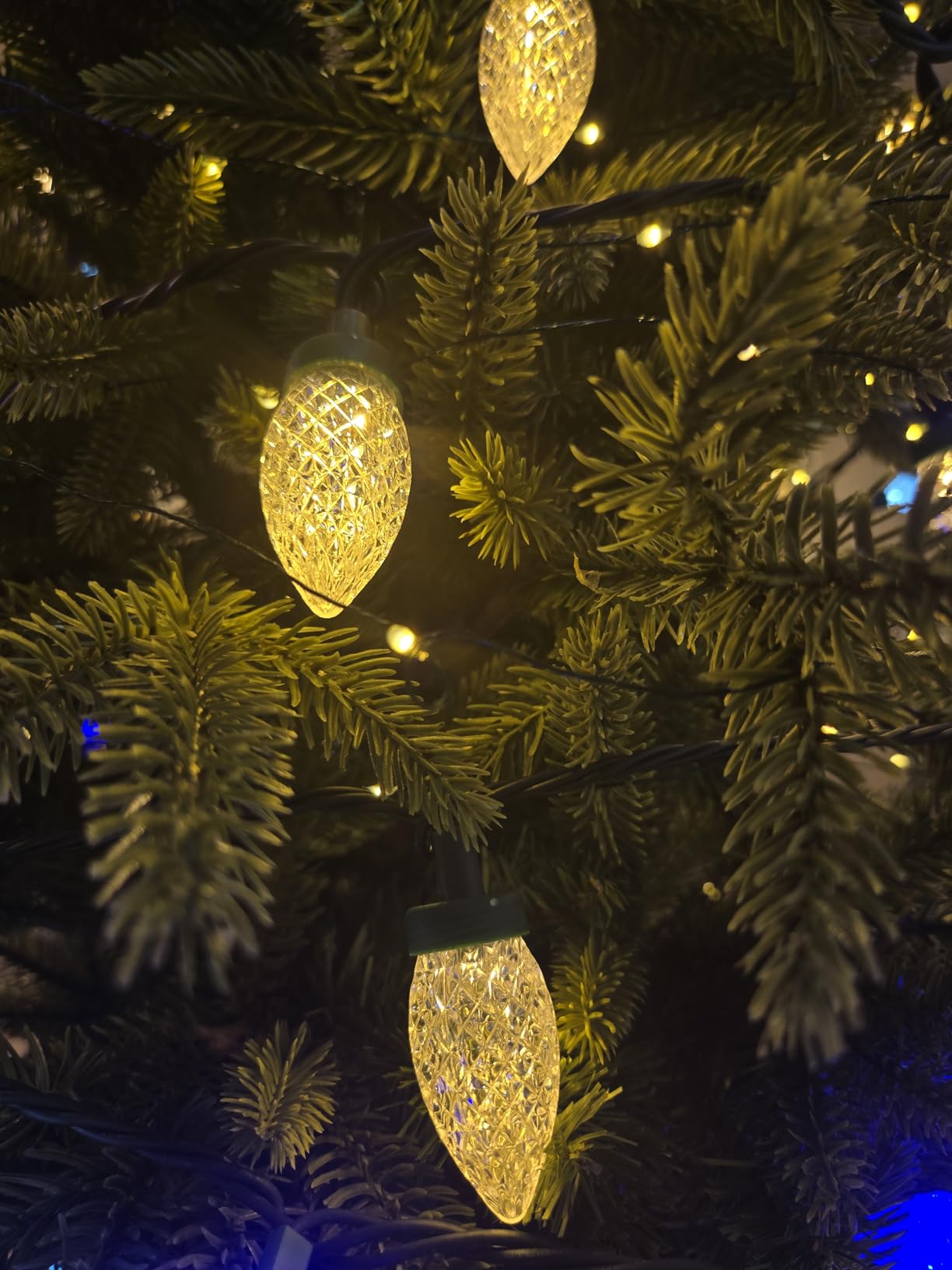 AWQ 100LED 81FT C9 Christmas String Lights Plug in Fairy Twinkle Multicolor customer photo 2
