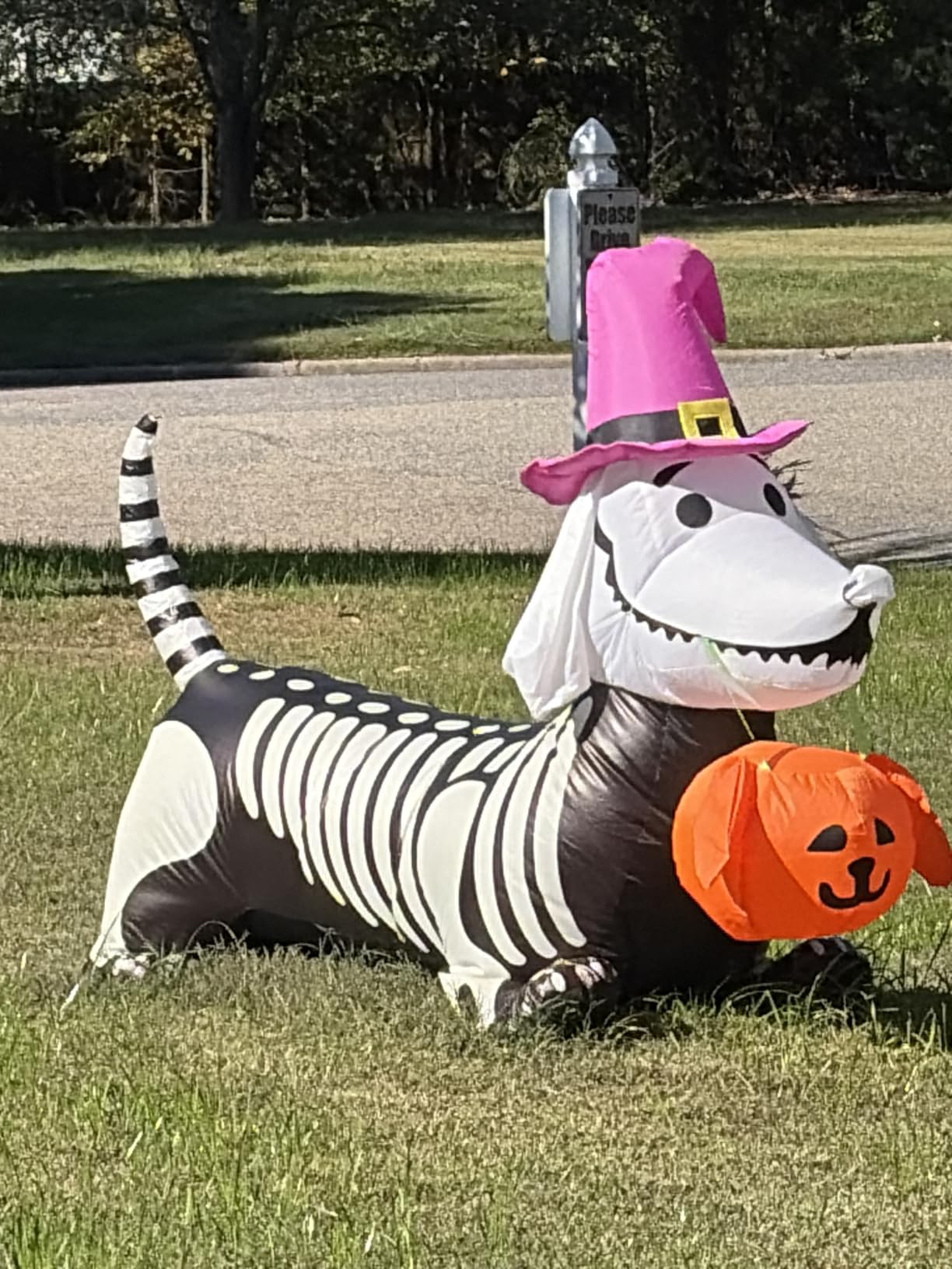 GOOSH 5.5 FT Halloween Inflatables Outdoor Decorations Skeleton Puppy Inflatable Yard Decoration with Build-in LEDs Blow Up Pumpkin for Halloween Party Indoor Outdoor Yard Garden customer photo 1