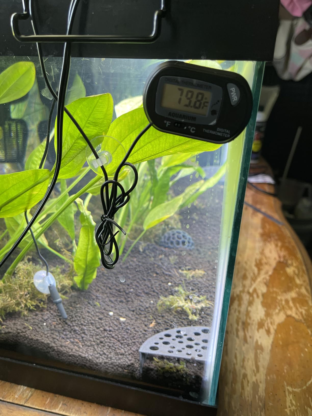 Orlushy Submersible Aquarium Heater,500W Fish Tahk Heater with Adjust Knob Thermostat 2 Suction Cups and Free Thermometer Suitable for Marine Saltwater and Freshwater (500W) customer photo 2