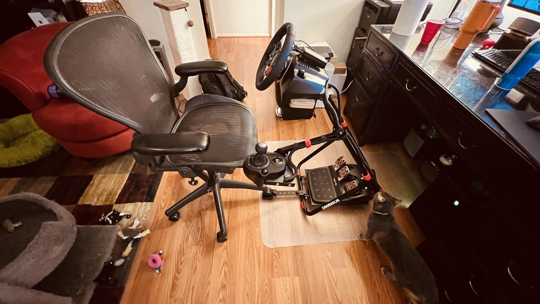 DIWANGUS Foldable & Adjustable Sim Racing Wheel Stand with Shifter Mount | Steering Wheel Stand Compatible with Logitech G29 G920 G923 G25 G27, Thrustmaster T248 T300RS T150 customer photo 1