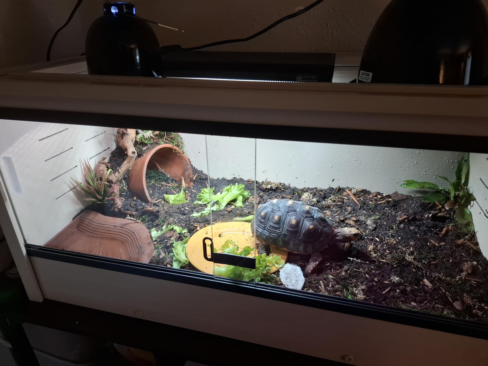 New Age Pet® ECOFLEX® 24