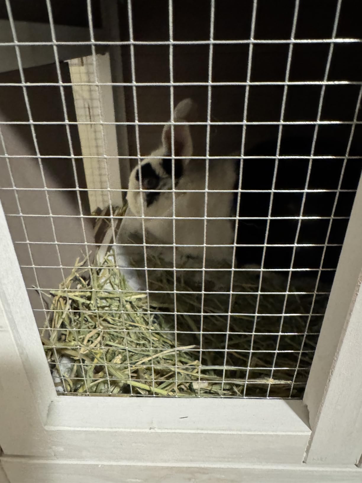 Indoor Rabbit Bunny Hutch Outdoor, Guinea Pig Cages with Removable Bottom Wire Netting - Easy Clean customer photo 1