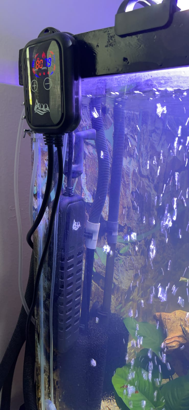 AQQA Submersible Aquarium Heater,100W/200W/300W/500W/800W/1000W/1200W customer photo 1