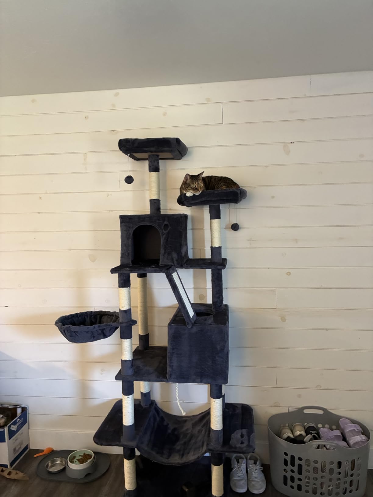 Feandrea Cat Tree, 81.1-Inch Large Cat Tower, Multi-Level Condo, Smoky Gray customer photo 2