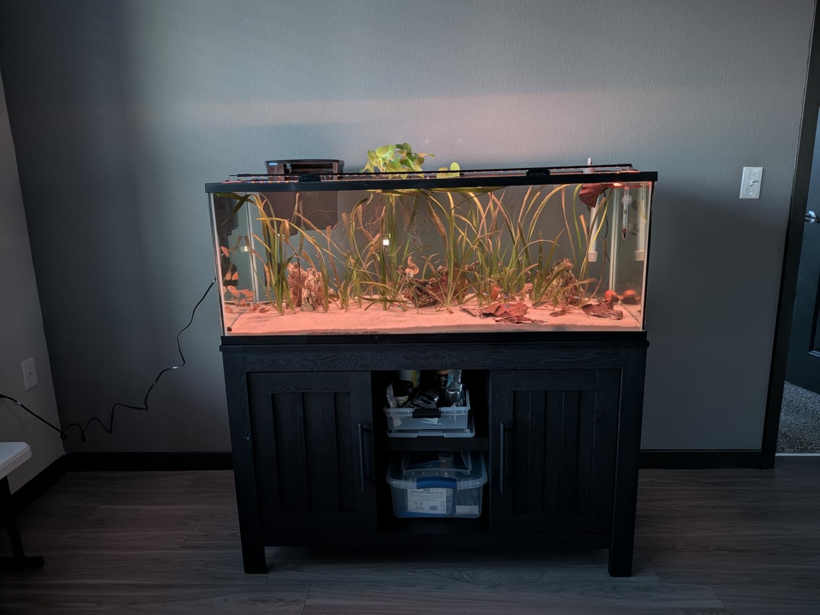 hygger Advanced LED Aquarium Light with Timer, 24/7 Lighting Cycle & DIY Mode, Full Spectrum Fish Tank Light for 48-54 in Freshwater Planted Tank customer photo 1