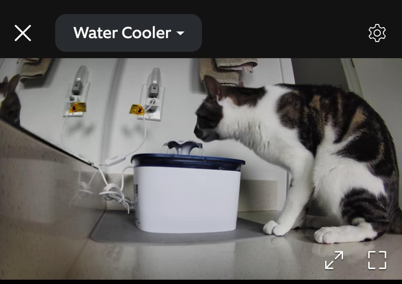 Veken Innovation Award Winner 95oz/2.8L Cat Water Fountain | Automatic Pet Fountain Dog Water Dispenser with Replacement Filters & Silicone Mat, Gift for Cats, Dogs (Grey, Plastic) customer photo 2