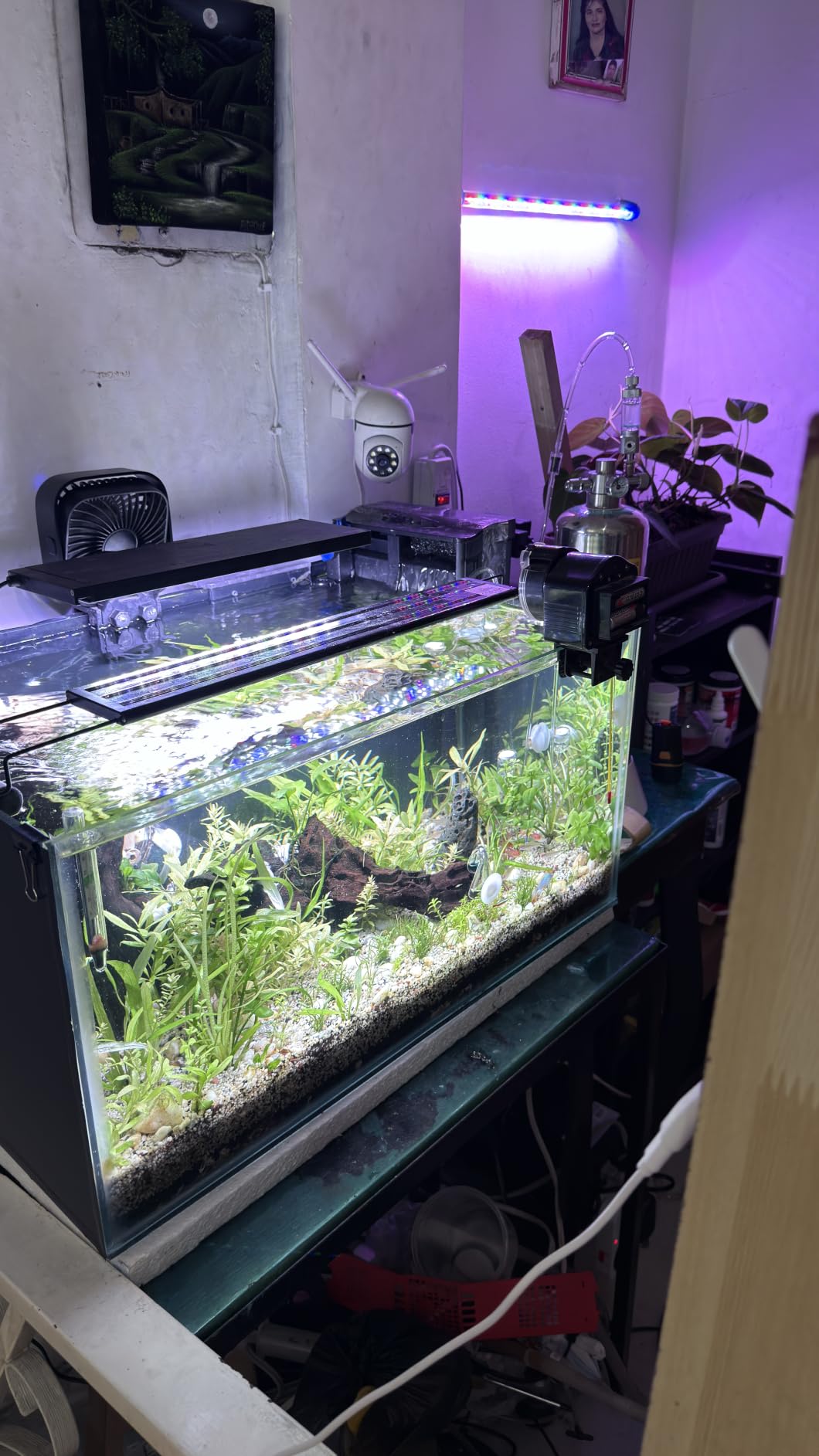 Aquarium CO2 Generator Double Runtime with Solenoid Valve 4L, G700S customer photo 2