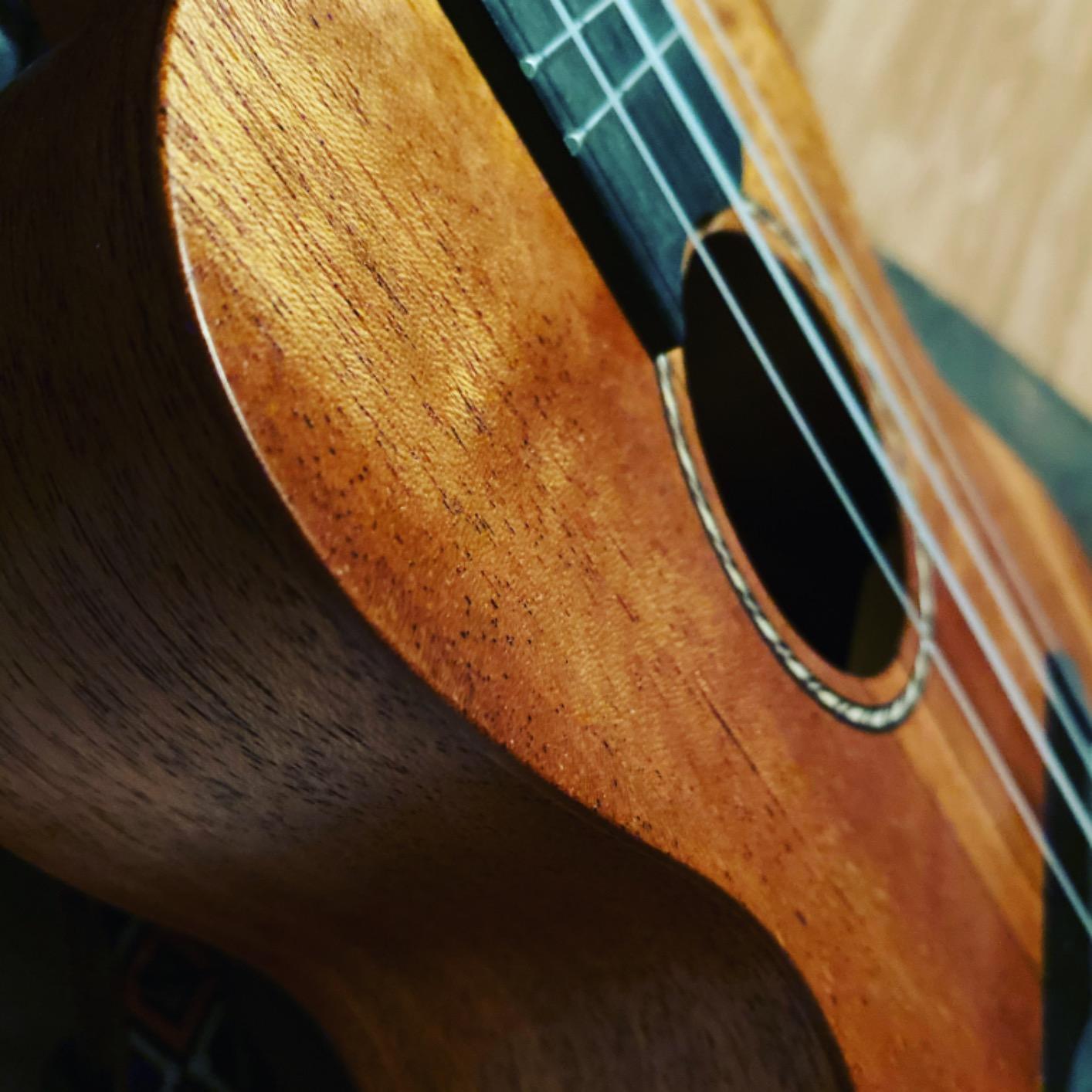Donner Concert Ukulele Professional 23 Inch Mahogany Ukelele for Adult Beginner Ukele Bundle with Online Lesson Gig Bag Aquila String Pick Tuner Strap Cloth DUC-200D Dark customer photo 2