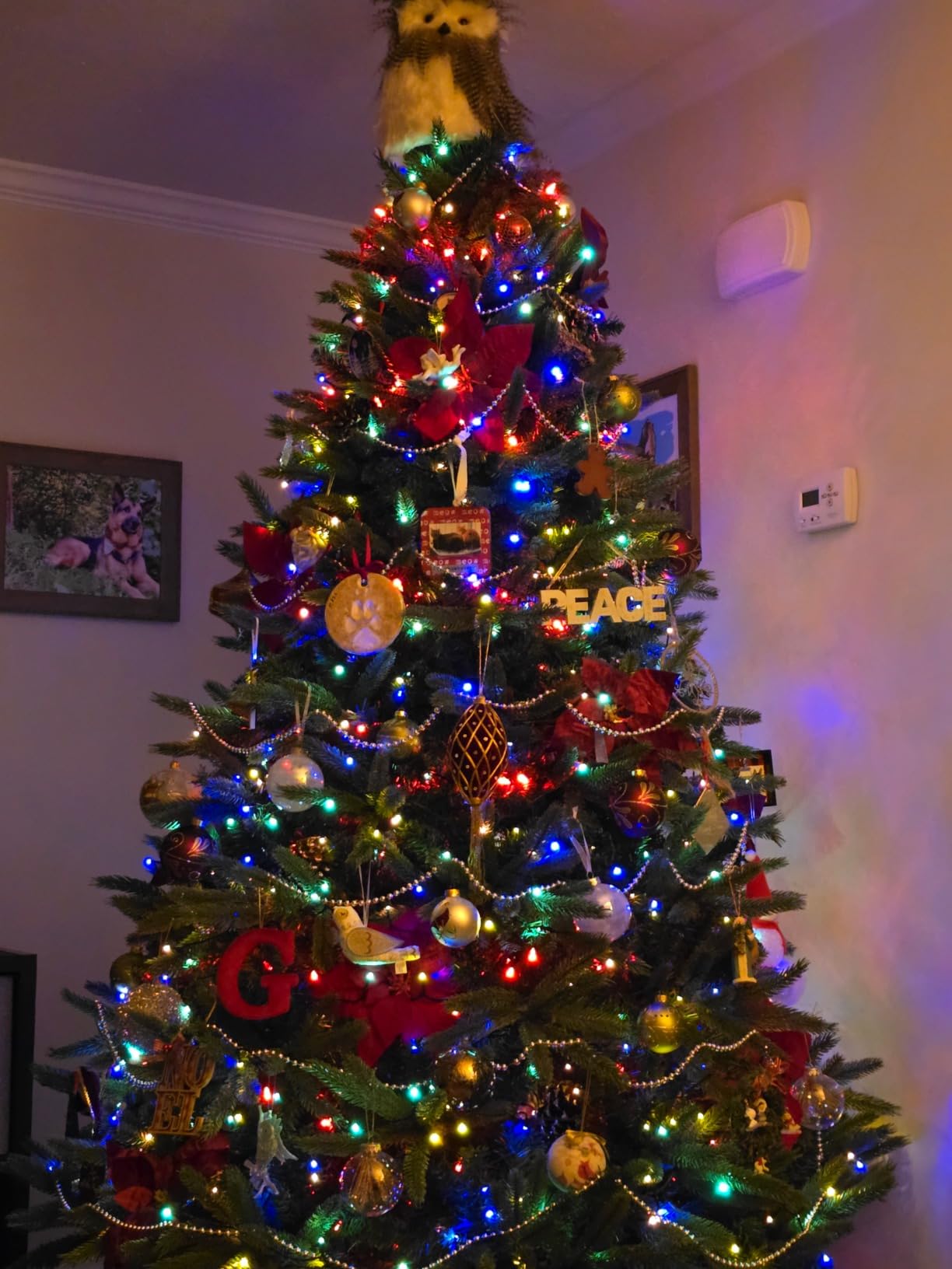 Ollny Christmas Lights, 210FT 640LED Color Changing Christmas Tree Lights with 11 Modes Remote Control, Outdoor Christmas Lights for Outside Indoor Patio Weddings Xmas Decorations customer photo 2